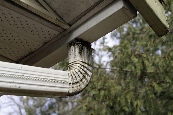 Cost of Roof Drain Replacement in Michigan City