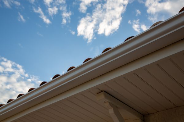 Cost of K Style Gutter Installation in Michigan City