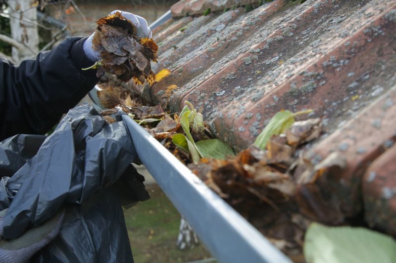 Preventative Gutter Maintenance